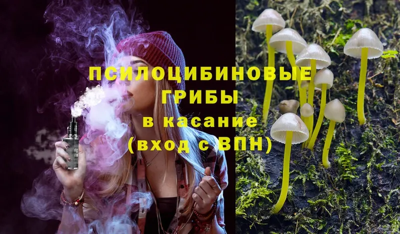 Псилоцибиновые грибы MAGIC MUSHROOMS  даркнет сайт  Электросталь 